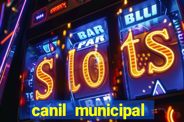 canil municipal porto alegre